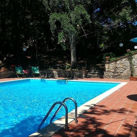 Villa La Nussa Capolona Exteriör bild